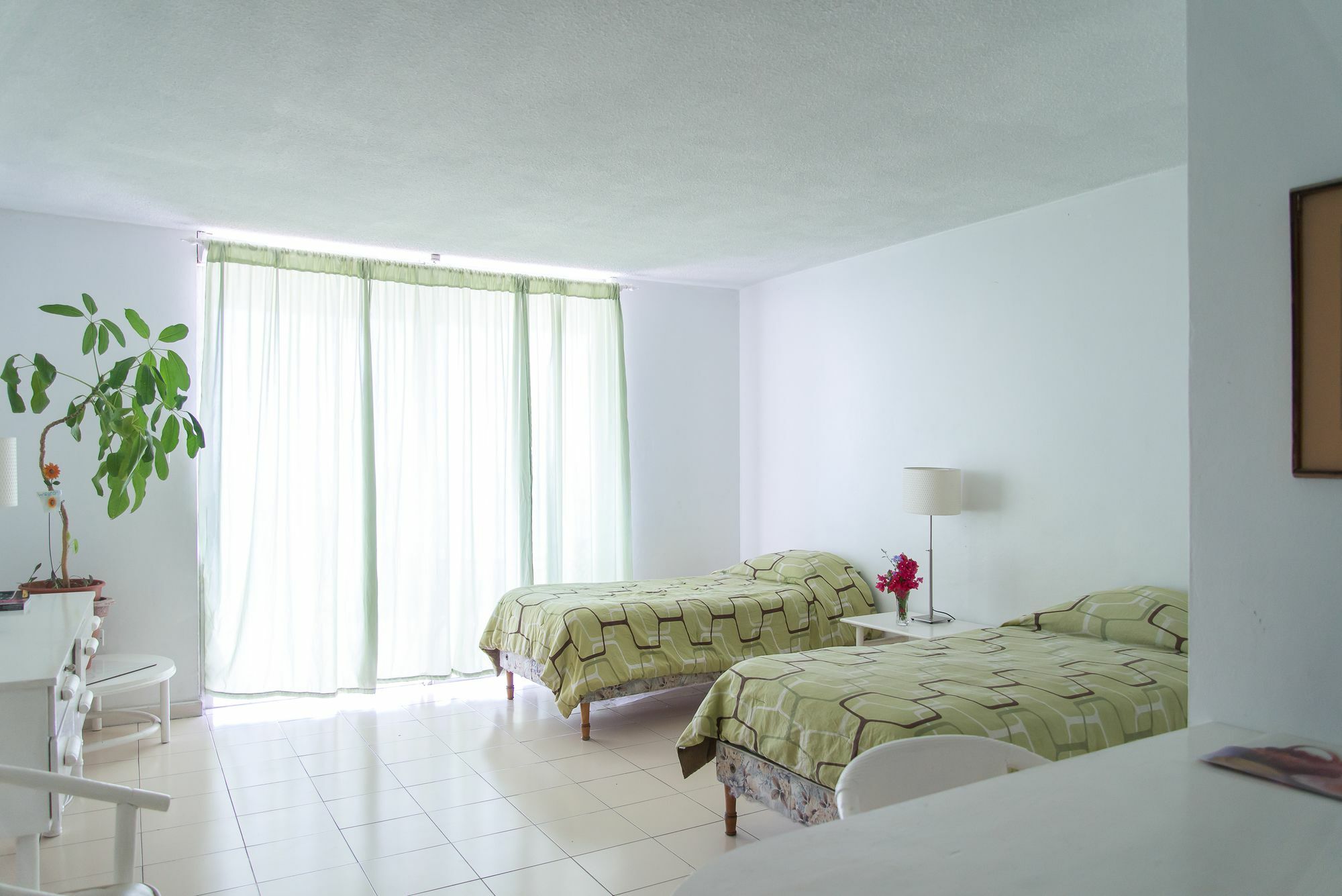 Montego Bay Club Apartments Esterno foto